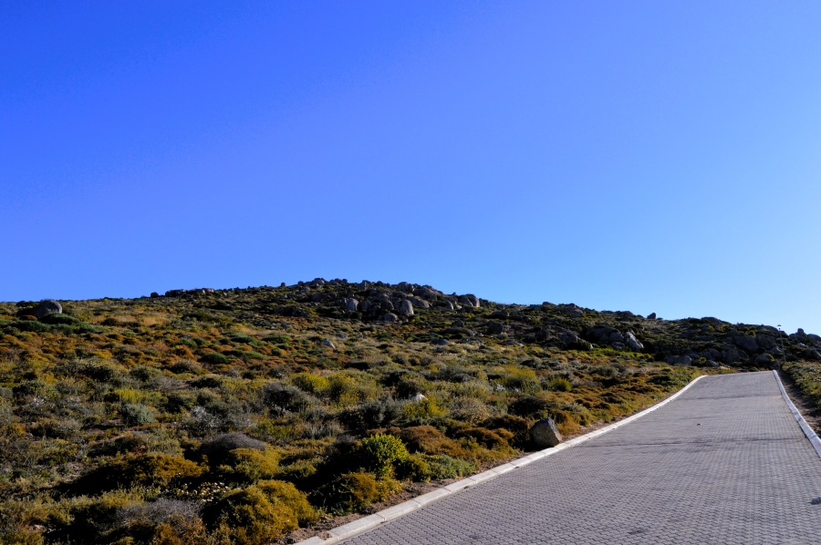 0 Bedroom Property for Sale in Steenbergs Cove Western Cape